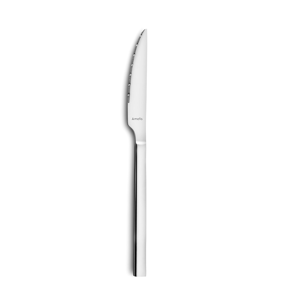 CARACTÈRE Steakmesser Vollheft